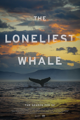 The Loneliest Whale