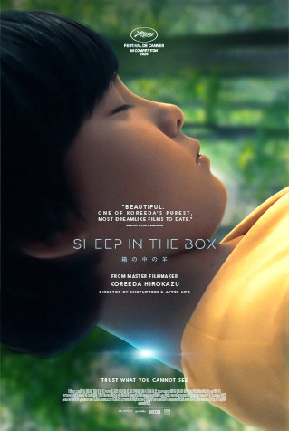 Sheep in the Box