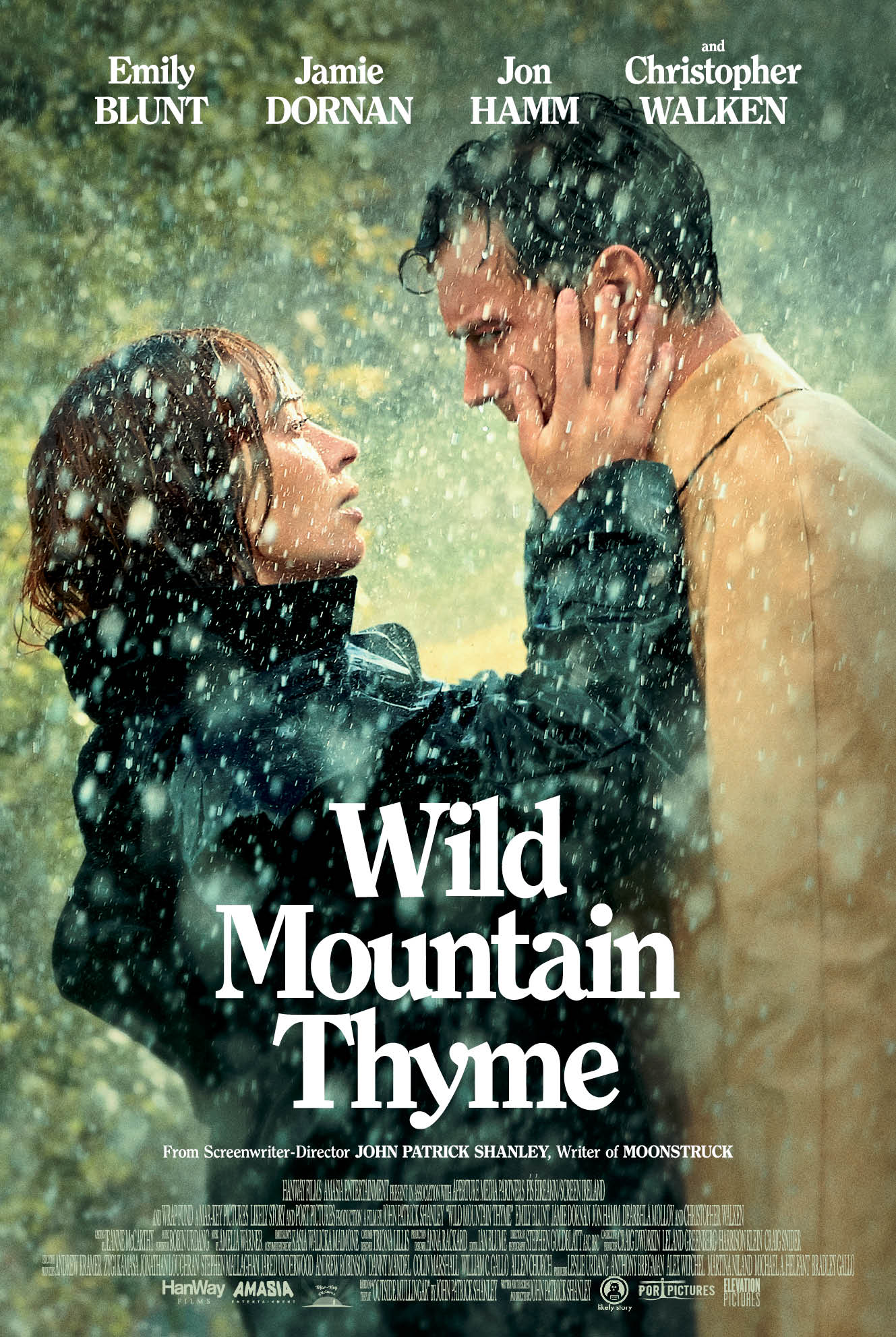 Wild Mountain Thyme
