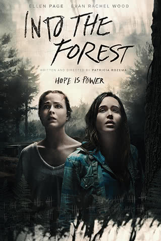 Into The Forest 🍁